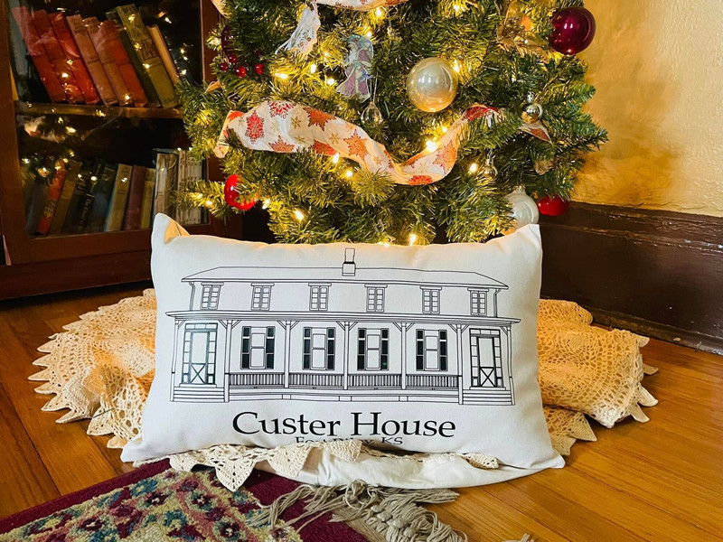 custer house pillow